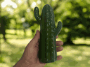 Ver imagem 2 de Decoração Casa e Jardim Cacto em Cerâmica Verde Esmaltado