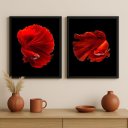 Ver imagem 1 de Kit 2 Quadros Decorativos Peixes Beta 33x24cm:moldura Preta