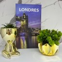 Ver imagem 2 de Kit decoração livro azul + vaso de vidro + vaso Bob cerâmico