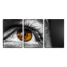 Quadro canvas 45x96 olho sobre fundo preto - 1