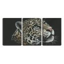 Ver imagem 1 de Quadro Decorativo 45x96 olhar de onça pintada fundo preto