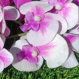 Flor Artificial Orquídea Branca 1 Galho 55cm - 8