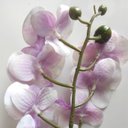 Ver imagem 4 de Flor Artificial Orquídea Branca 1 Galho 55cm