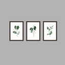 Ver imagem 1 de Tríptico - Quadros Decorativos Floral Aquarela Grande:Madeira