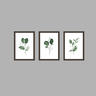 Tríptico - Quadros Decorativos Floral Aquarela Grande:Madeira - 1