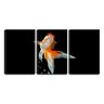Quadro Decorativo 45x96 peixe ornamental fundo preto - 1