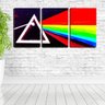 Quadro canvas 45x96 triângulo banda pink floyd - 2