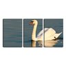 Quadro Decorativo 68x126 cisne solitário no lago - 1