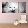 Quadro Decorativo 68x126 olhar de gato angorá branco - 2