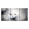 Quadro Decorativo 68x126 olhar de gato angorá branco - 1