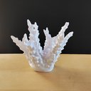 Ver imagem 2 de Estatueta Coral Belize 18 cm - Decoração Para Sala E Quarto - Toque 3D:Branco