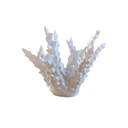 Ver imagem 1 de Estatueta Coral Belize 18 cm - Decoração Para Sala E Quarto - Toque 3D:Branco