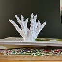 Ver imagem 3 de Estatueta Coral Belize 18 cm - Decoração Para Sala E Quarto - Toque 3D:Branco