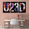 Quadro Decorativo 80x140 banda u2 poster 3d - 2