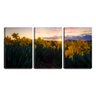Quadro Decorativo 30x66 flores amarelas sol poente - 1