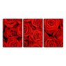 Quadro Decorativo 68x126 diversas rosas vermelhas - 1