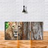 Quadro Decorativo 68x126 olhar de leão na árvore - 2