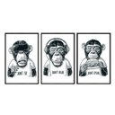 Ver imagem 1 de Kit 03 Quadros-don T See, Don T Hear, Don T Speak - Monkeys - Pb Anm003 - Canvas 40x60cm