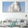 Quadro Decorativo 68x126 crinas de cavalo branco - 2