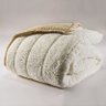 Cobertor/Edredom Sherpa 2 em 1 Casal Queen Tipo Lã de Carneiro Noites Quentes Cotex Bege - 1