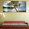 Quadro Decorativo 30x66 árvore retorcida no lago - 2