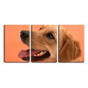 Ver imagem 1 de Quadro Decorativo 55x110 cão de boca aberta