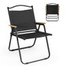Cadeira Dobrável de Praia e Acampamento Ultra Leve em Tecido e Metal - Preto - 1