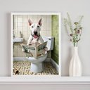 Ver imagem 1 de Quadro Divertido de Banheiro - Bull Terrier Jornal 33x24cm - com Vidro:moldura Preta