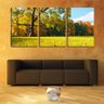 Quadro Decorativo 30x66 árvore frondosa no campo - 2