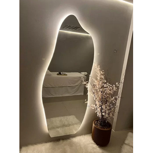 Espelho Orgânico Flame 170x70 E06 com Led Branco Frio 110v 6000k – Sofisticação e Clareza