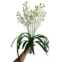 Ver imagem 5 de Kit 4 Orquídeas Dançantes Brancas Artificiais 60cm Flores Decorativas Toque Real Luxo