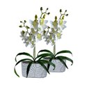 Ver imagem 1 de Kit 4 Orquídeas Dançantes Brancas Artificiais 60cm Flores Decorativas Toque Real Luxo