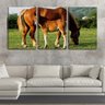 Quadro Decorativo 68x126 filhote de cavalo no campo - 2