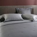 Ver imagem 1 de Jogo de Cama Casal Bud Vision Orion Chumbo 4 Peças 300 Fios Cetim 100% Algodão Buddemeyer
