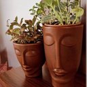 Ver imagem 3 de Vaso Face Homem 24 (2,75l) Café Imperial Nutriplan