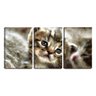 Quadro Decorativo 68x126 desenho filhote de gato - 1