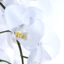 Ver imagem 3 de Arranjo de Orquídeas Brancas de Silicone em Vaso Preto
