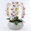 Ver imagem 2 de Arranjo de Orquídeas Brancas e Vinho de Silicone em Vaso Nude