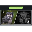 Ver imagem 6 de Binoculo Visao Noturna Infravermelho Zoom Foto Video Cartao Micro Sd Caça Pesca Escotismo Bateria Re