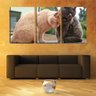 Quadro Decorativo 80x140 dois gatos cores diferentes - 2