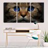 Quadro Decorativo 80x140 olhos azuis de gato pardo - 2