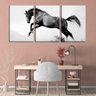 Quadro Decorativo 80x140 cavalo fundo branco pb - 2