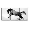 Quadro Decorativo 80x140 cavalo fundo branco pb - 1