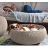 Cama Pet Com Almofada Macia Impermeável Keter - 3