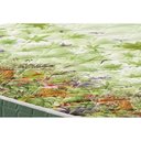 Ver imagem 5 de Colchão Casal Anjos Espuma Compact AG 65 / D28 / Pantanal Green (138x188x17) -