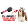 Pente para Cachorro Shih Tzu Escova para Pentear Ideal Pet - 2