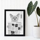 Ver imagem 1 de Quadro Decorativo Gato Lendo Jornal no Banheiro 45x34cm - com Vidro:madeira Branca