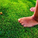 Ver imagem 3 de Grama Sintética 25mm Europeia (9m²) 2,00m X 4,50m Eurograss