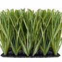 Ver imagem 1 de Grama Sintética 32mm identica a natural (3m²) 2,00m x 1,50m Eurograss