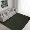 Ver imagem 1 de Tapete Sala Quarto Baixo Alto Relevo Realce:liso Verde/2,50x3,00m